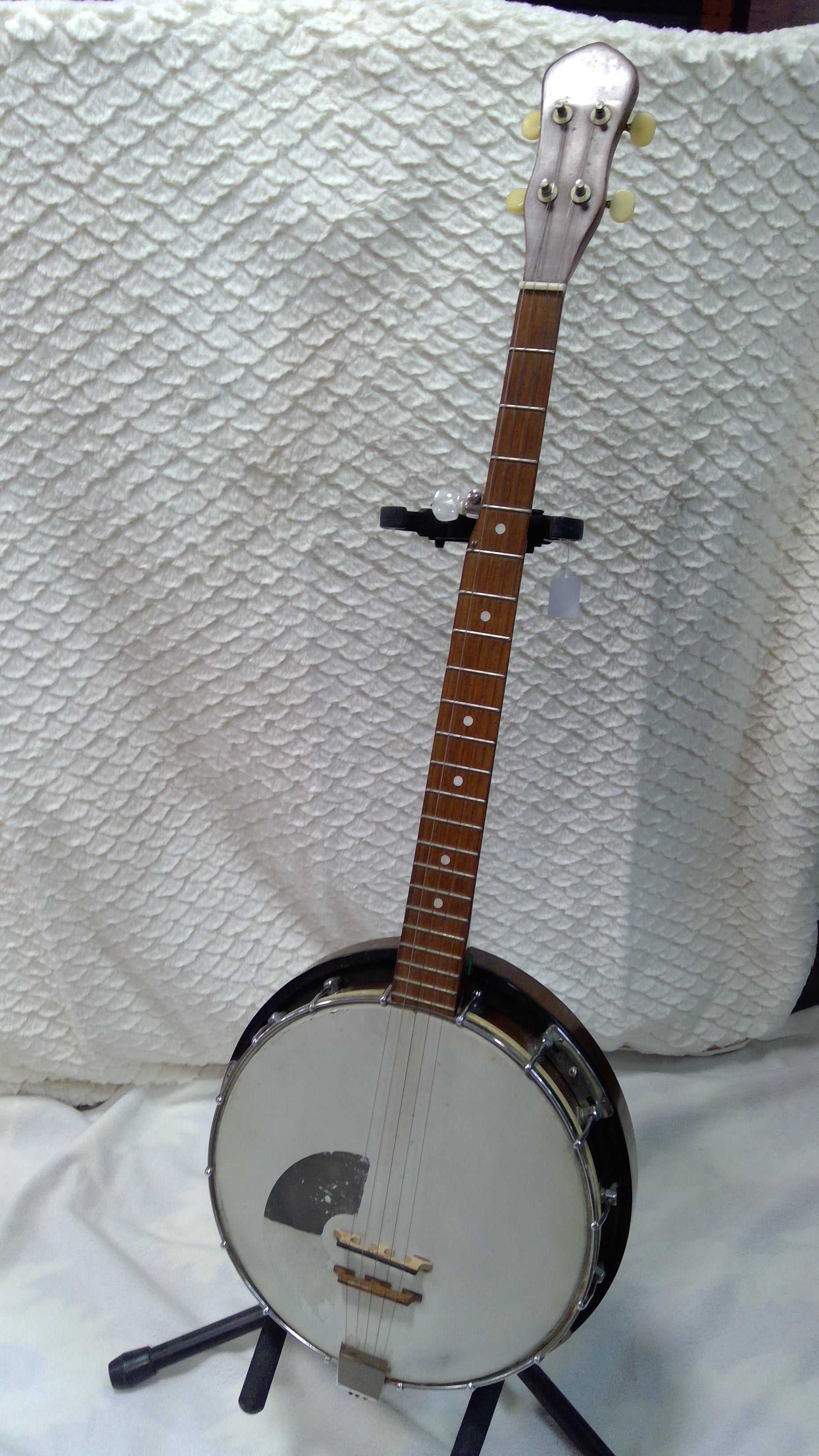 Vintage Banjo with Case