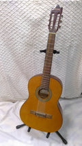 Vintage Acoustic Guitar